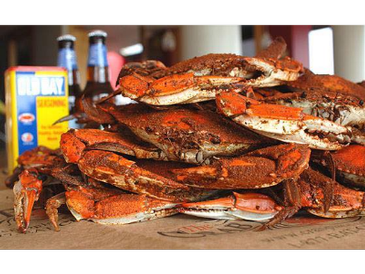 Dozen crabs & a pitcher of beer at St. Michaels Crab & Steakhouse