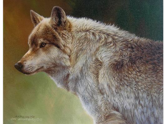 “Wolf Portrait”