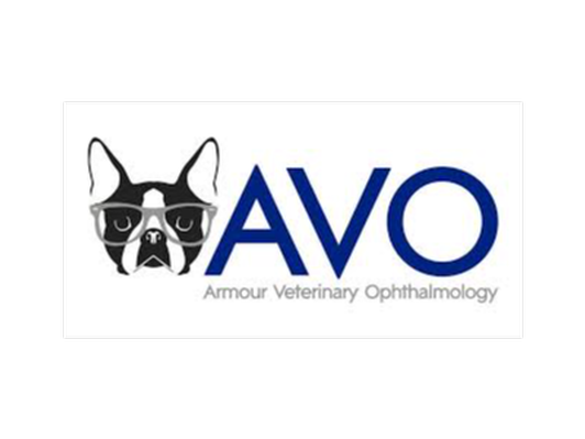 Veterinary ophthalmology eye exam