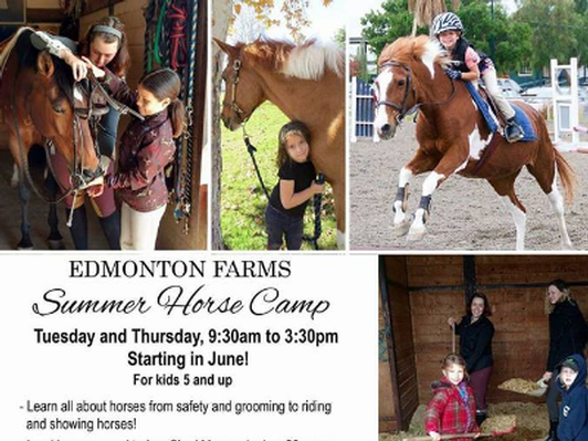 A Full Day at Hansen Dam Equestrian Center Edmonton Farms Summer Camp