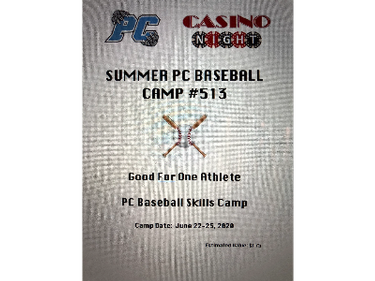 Panther Creek Baseball Skills 2020 Summer Camp