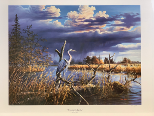 Swamp Islands - Great Blue Heron By Ken Zylla