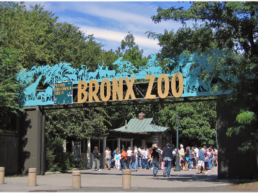 4 Tickets to Bronx Zoo
