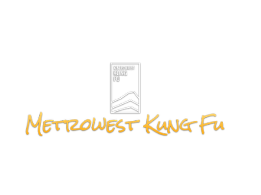 MetroWest Kung Fu $100 Gift Card