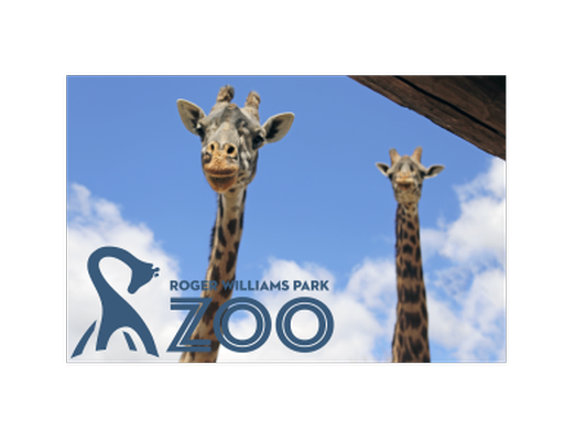 Guided Tour of the Roger William's Park Zoo with the Zoo's Director