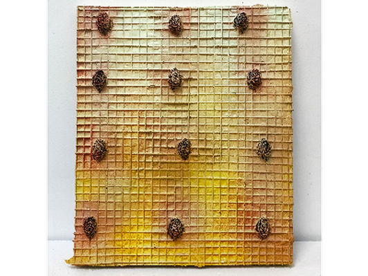 Amy Nathan, Peach Pit Grid, 2019