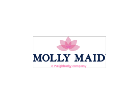 1-hour cleaning by Molly Maid