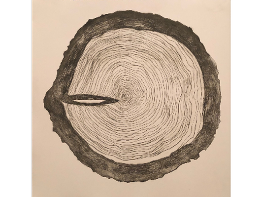 Tree Rings, Variable Edition 11/25