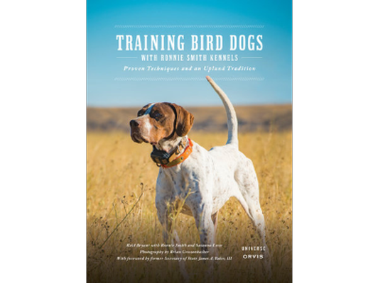 Training Bird Dogs by Reid Bryant '00