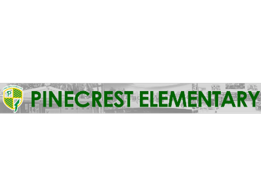 BiddingOwl - Pinecrest Elementary PTA Auction
