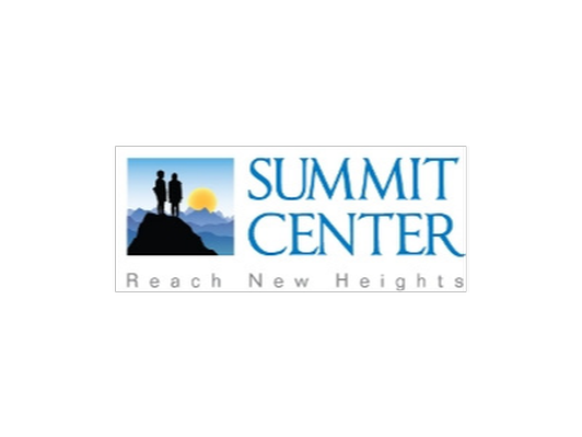 Summit Center - 2 Hour IQ Testing Session with Dr. Lisa Hancock