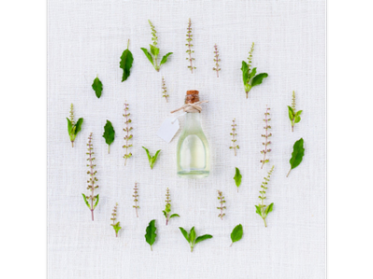 Eucalyptus, Mentha, Lavender, Rosemary Essential Oil Blend 16 oz