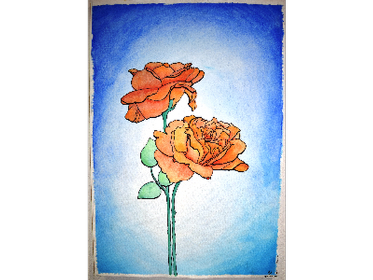 Two roses- 22" x 15"