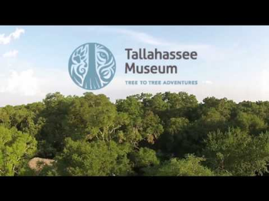 Tallahassee Museum Tree to Tree Adventures 4 Museum Admission Passes