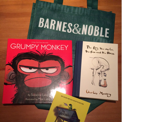 Barnes & Noble Books & Bag