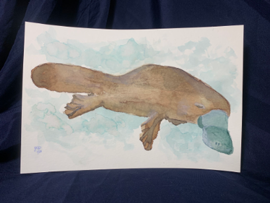 Watercolor Platypus