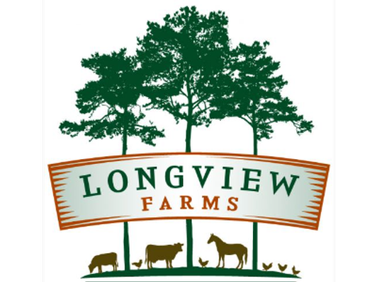 Longview Sampler