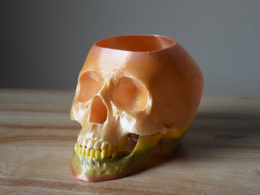 Skull planter, multi