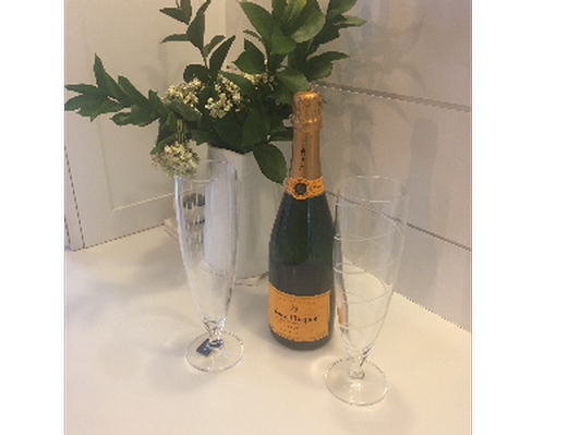 Champagne and 2 hand etched Mikasa Cheers Flutes