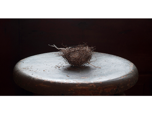 Wagner Nest on Chair, LAURIE BECK PETERSON