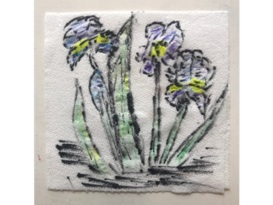 Irises, Artist: Vicki Biggers