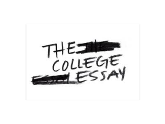 Essay help 1 hr consult + review from Parnassas Prep