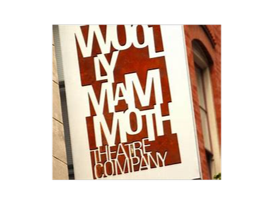 2 Tickets to a Show at Woolly Mammoth theatre