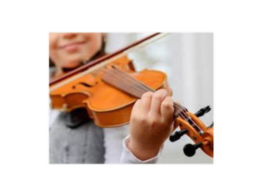 2 30min Violin Lessons by Hilde Singer