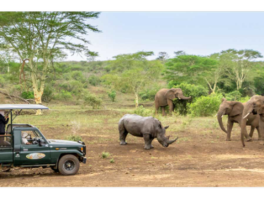 Experience the Magic of Africa: Zulu Nyala Safari Package - 2-yr expiration