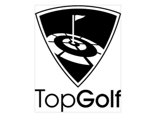 Top Golf Game Play