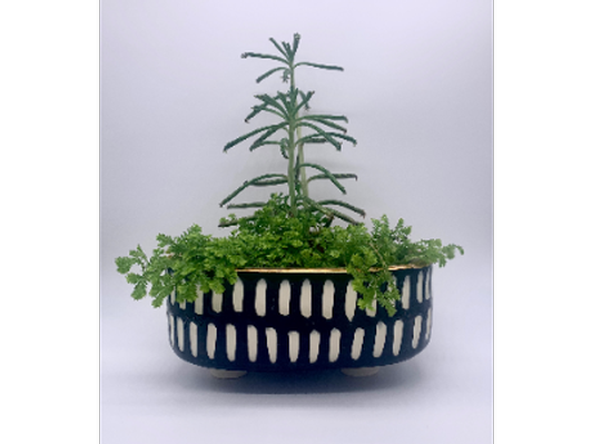 Black & White & Gold Oval Planter by Katie Parker