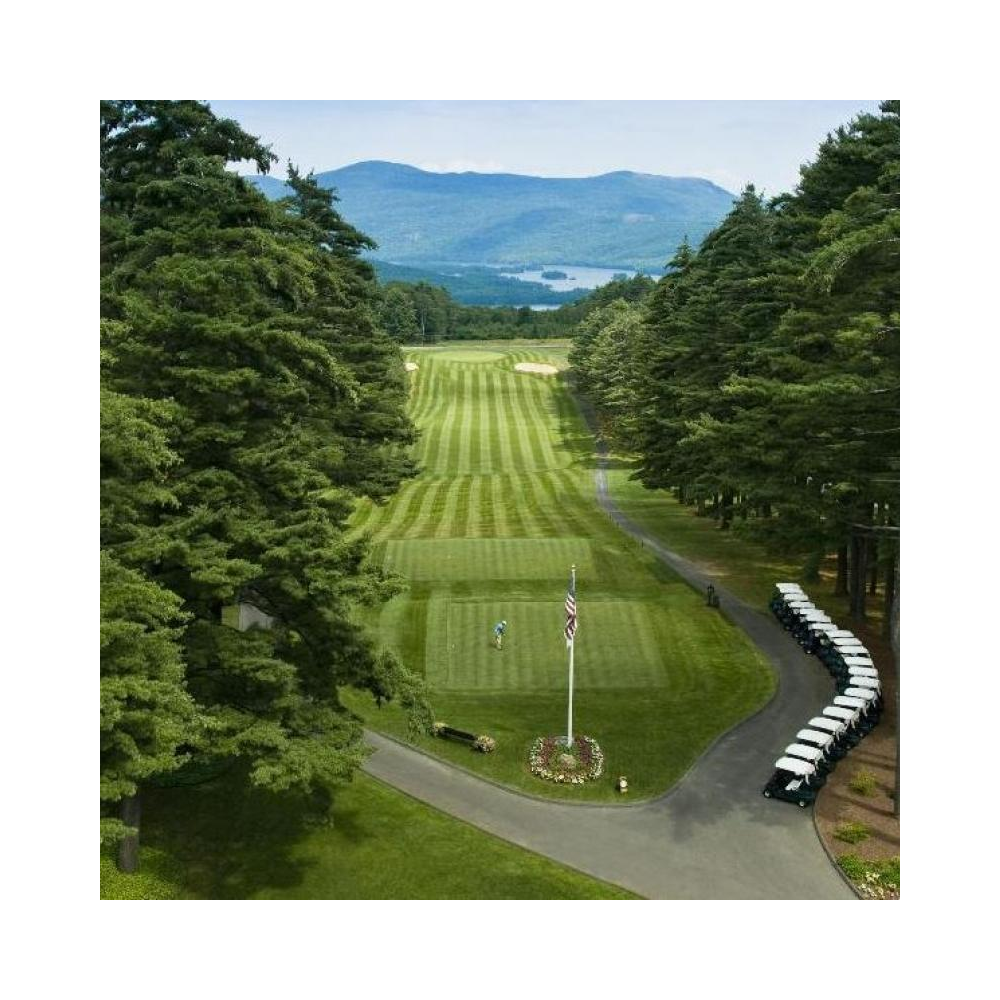 Biddingowl Glens Falls Hospital Foundation Auction