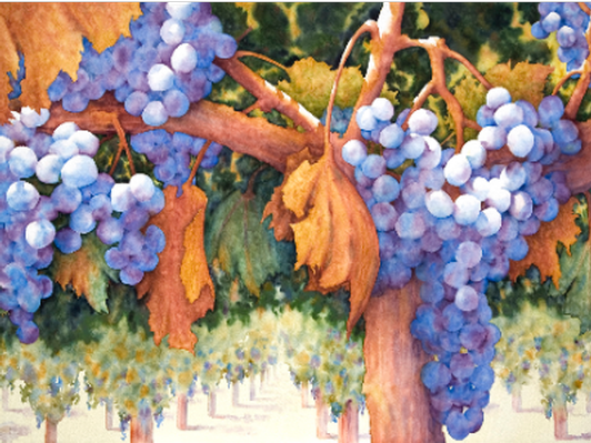 “Between Wine and Vine” Watercolor Print