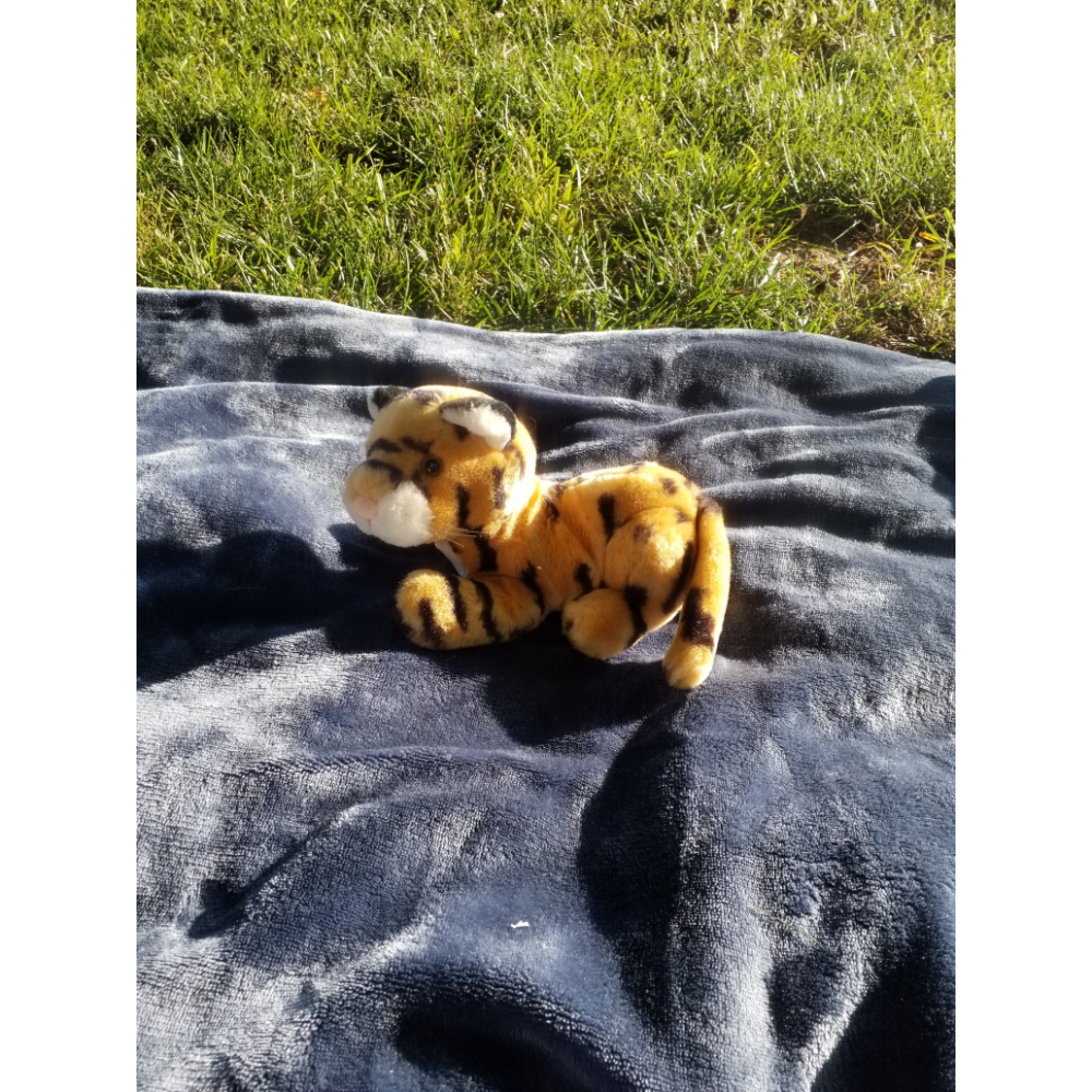 Tiger Cub Plush