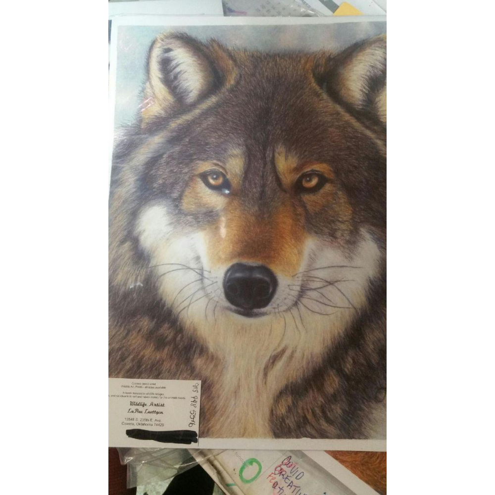 Harley the Wolf - Colored Pencil Artwork