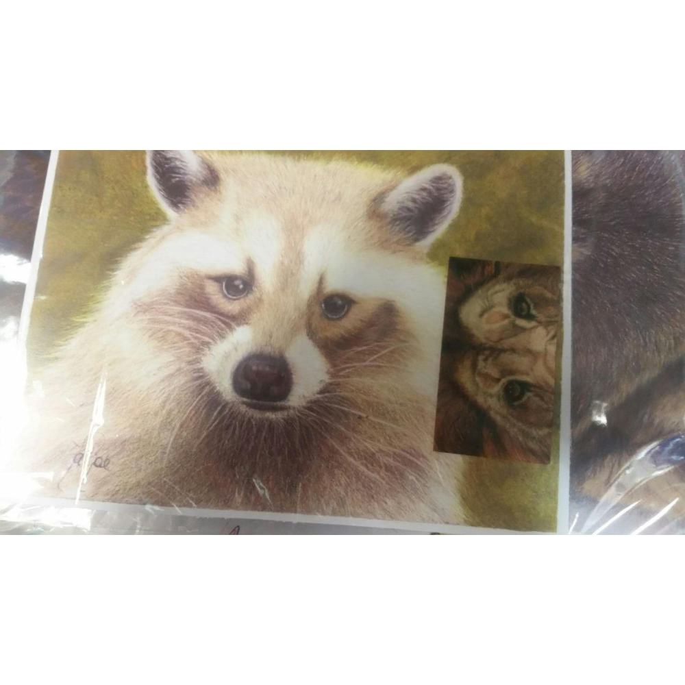 Blondy the Raccoon - Colored Pencil Artwork