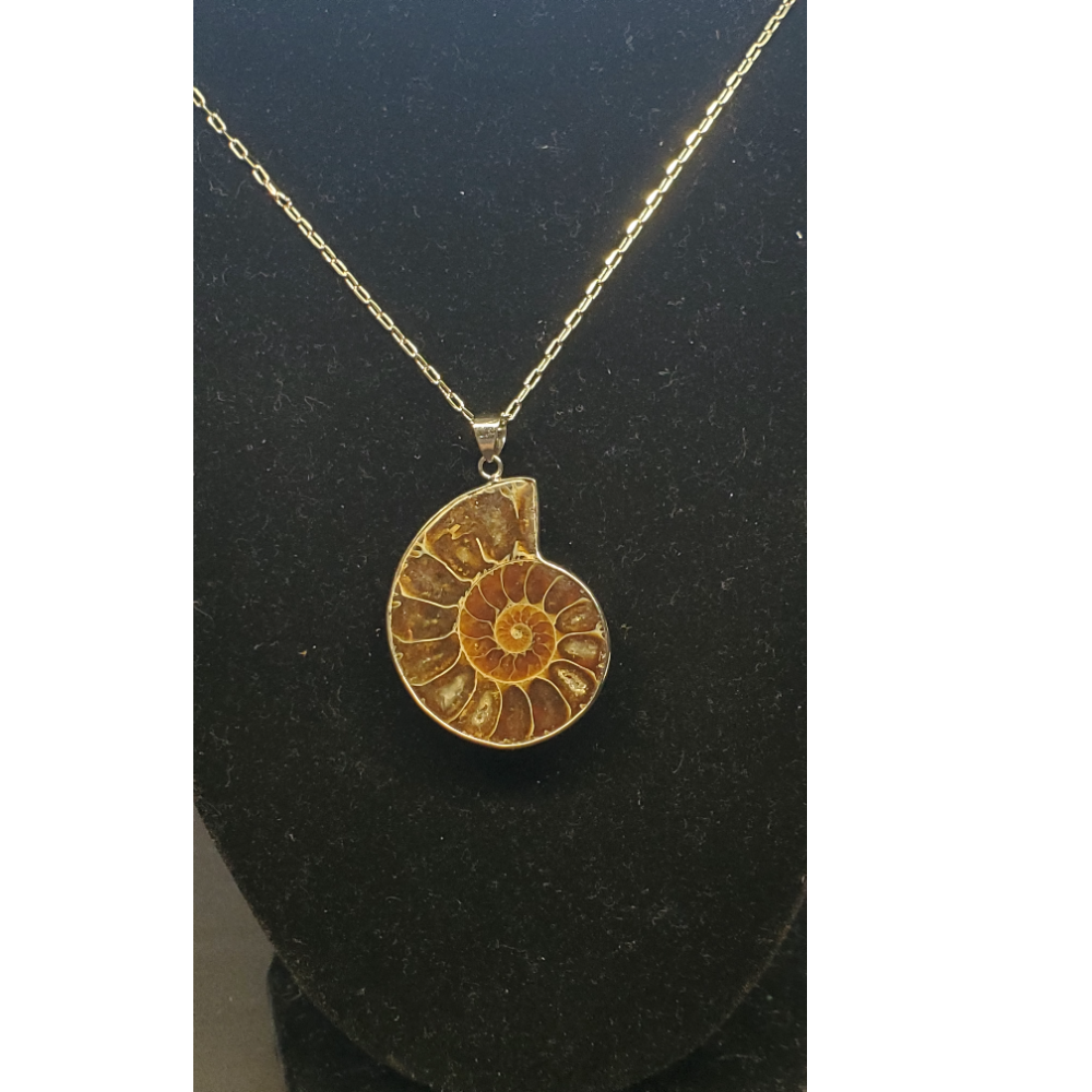 Ammonite shell fossil pendant with 30" chain