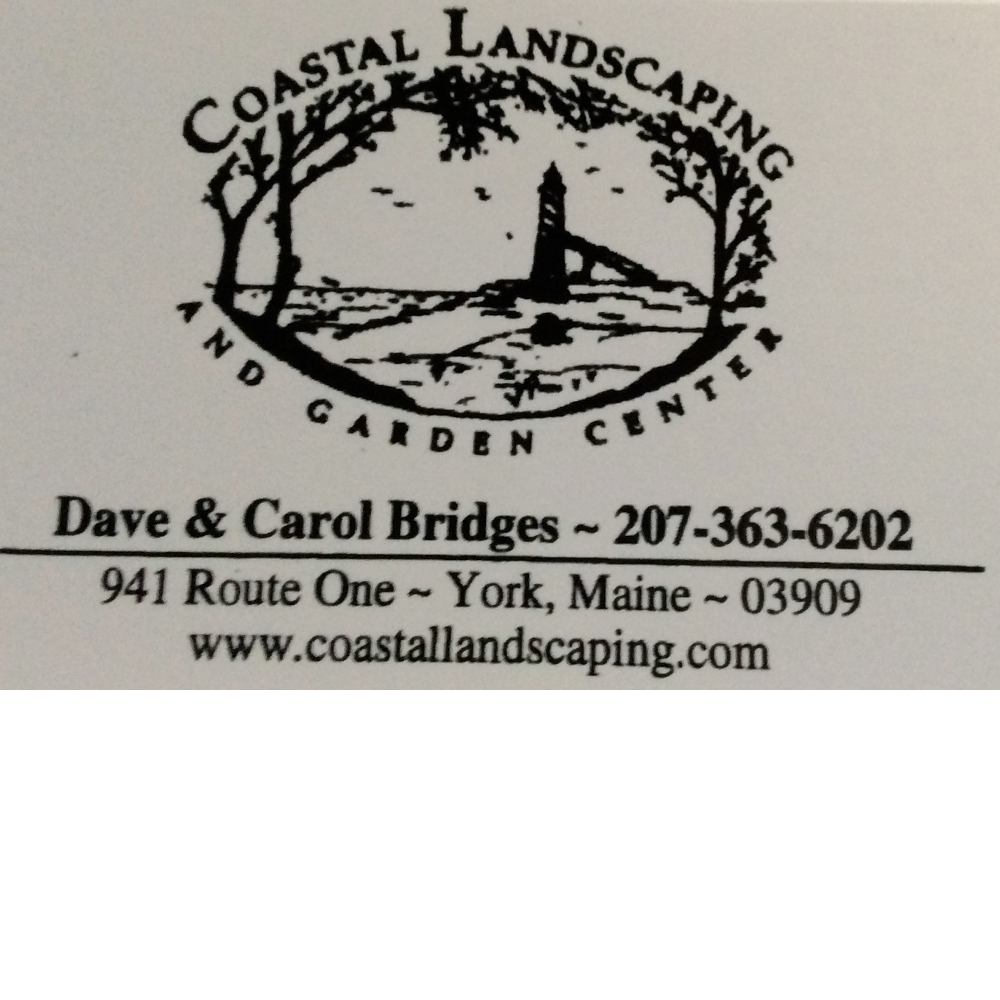 Coastal Landscaping - $65 Gift Card for Christmas Tree