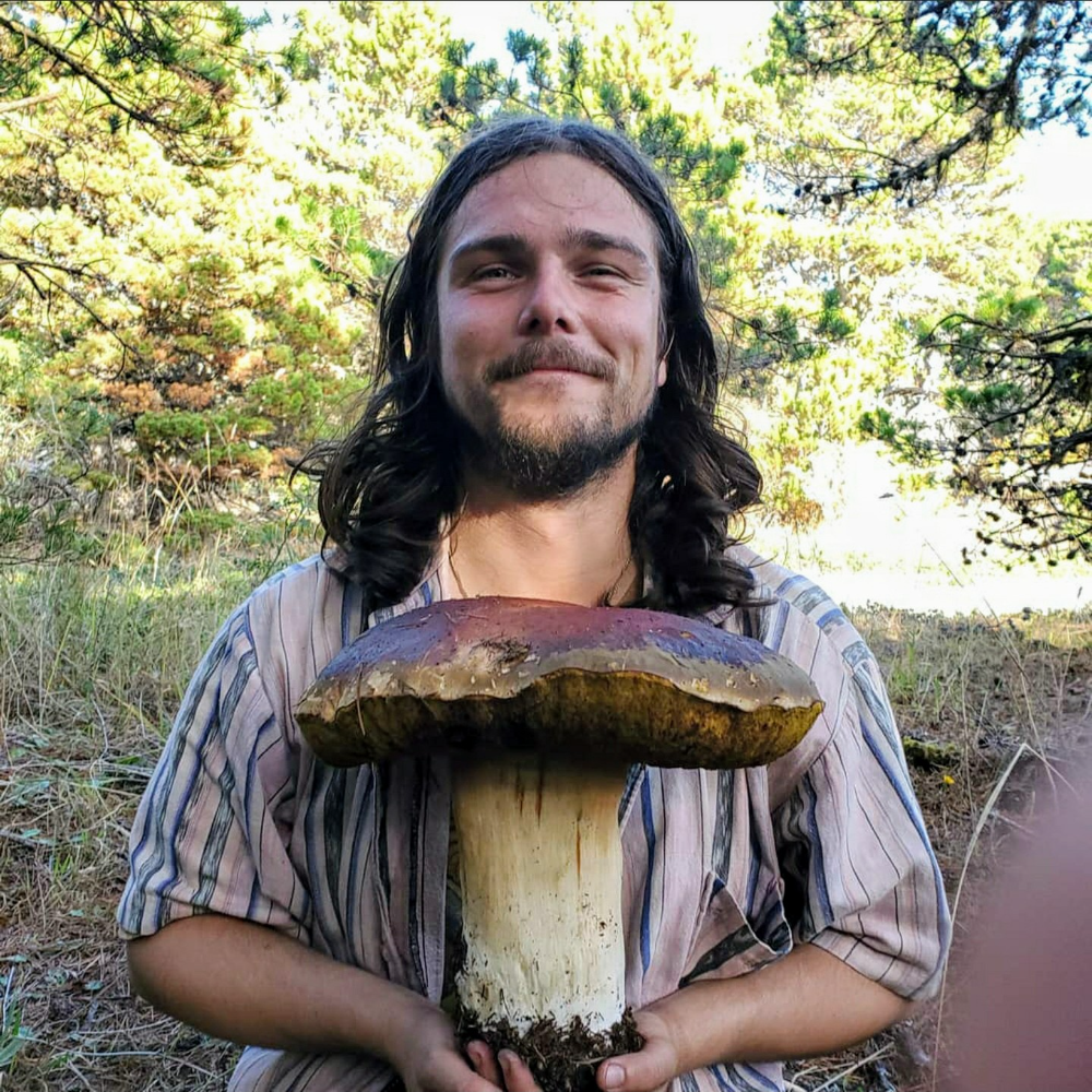 Mushroom Foraging with Kyle Sipes