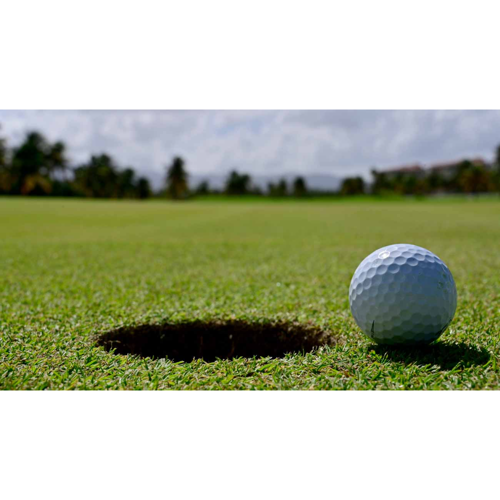 #1 Golf Twosome For Any Montgomery County Golf Course