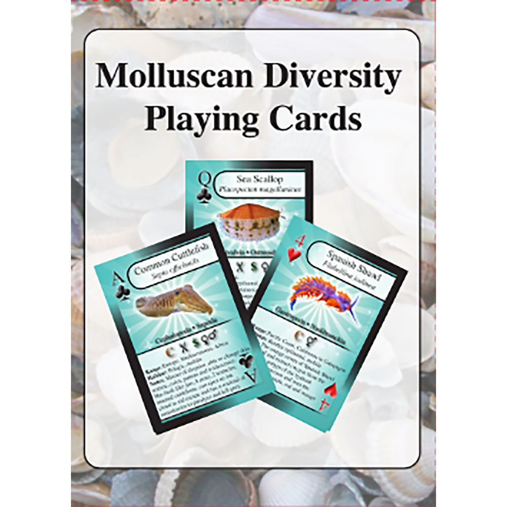 Molluscan Diversity Playing Cards