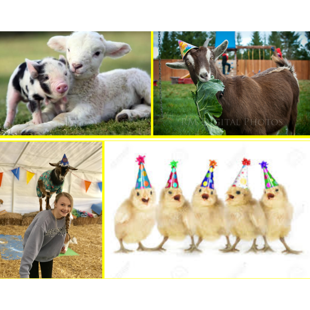 Farm animals to your event