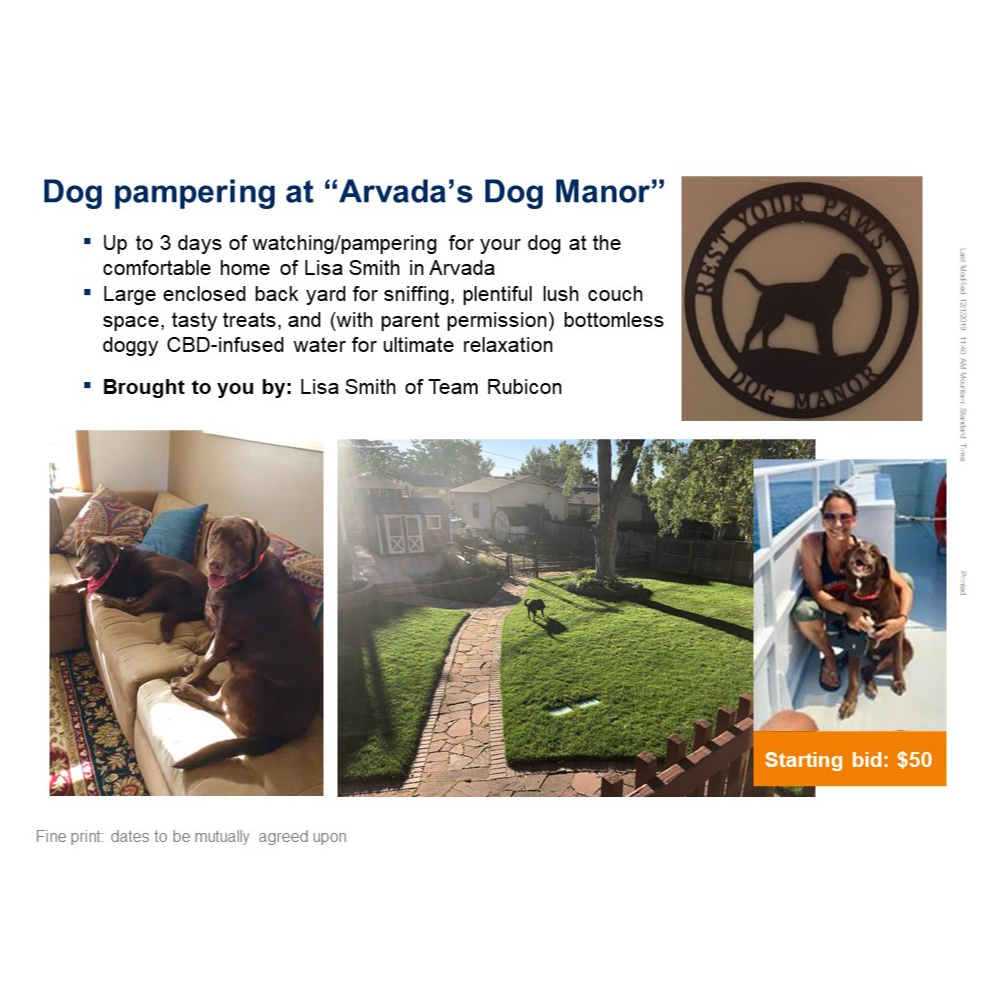 Dog pampering at “Arvada’s Dog Manor”