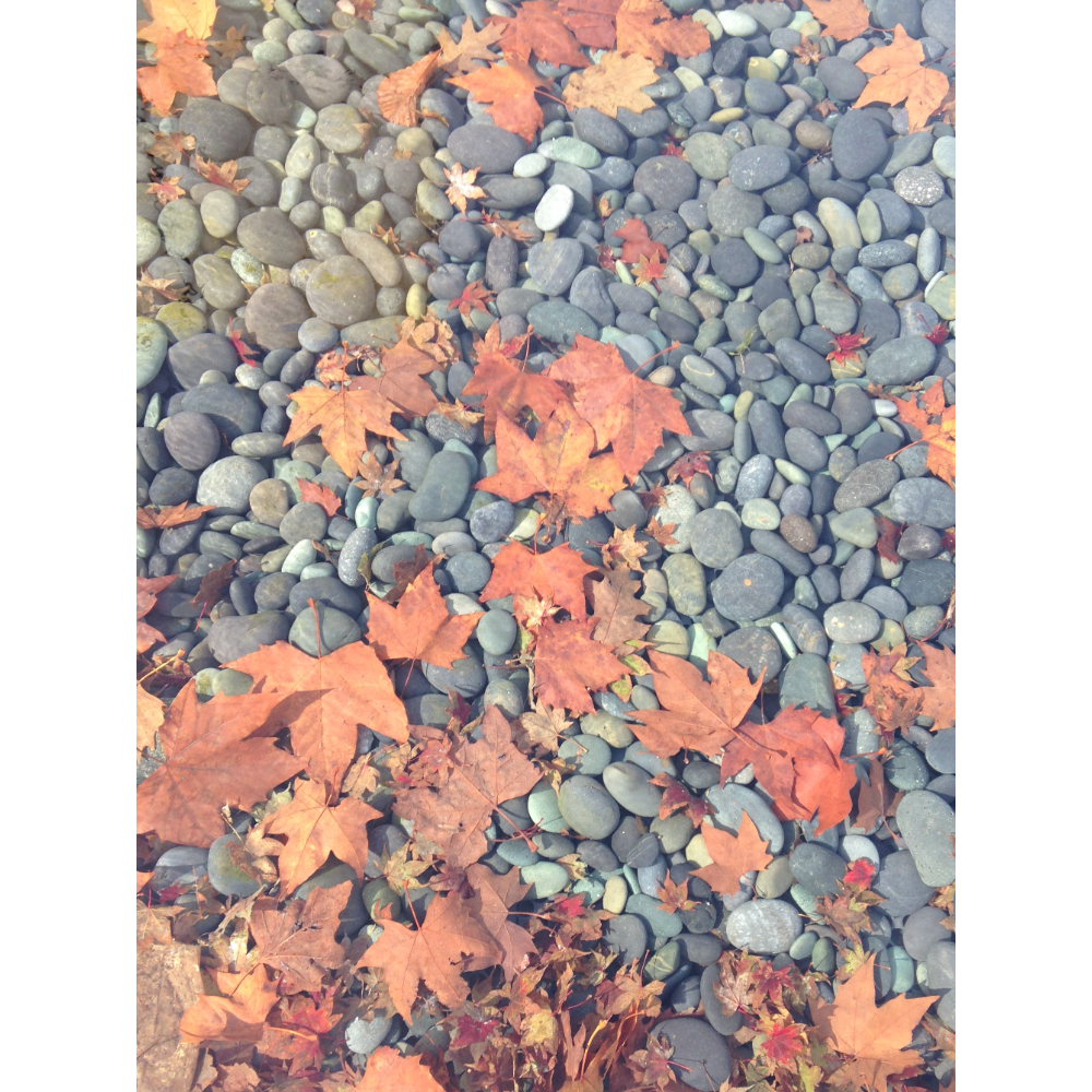 Autumn Reflection Pool (by Richard Huck)