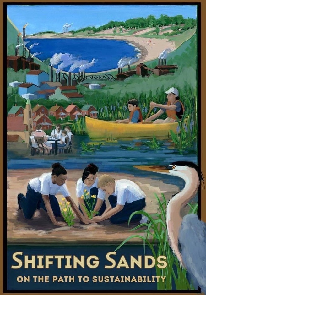 DVD-Shifting Sands on the Path to Sustainability