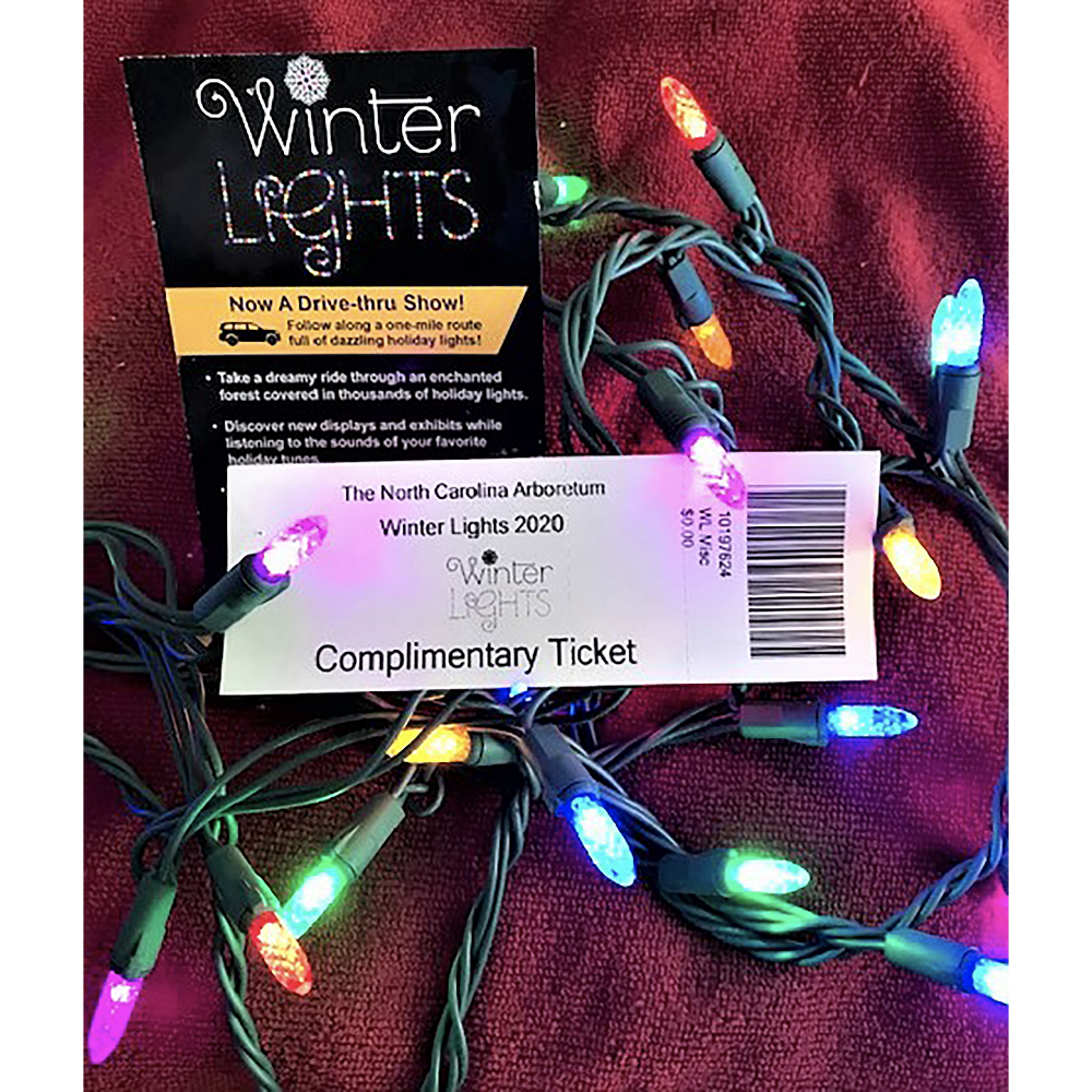 North Carolina Arboretum Winter Lights - Admissions for 1 vehicle (Asheville, NC)