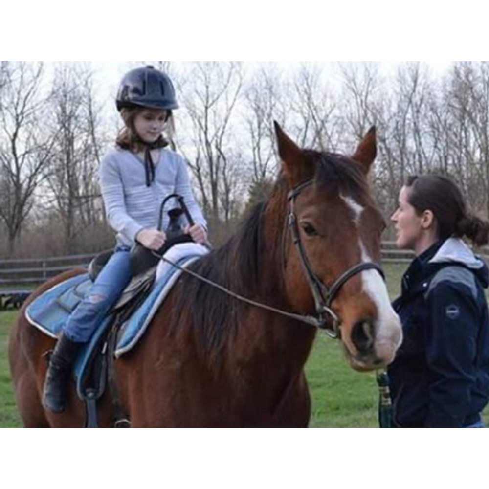 Adult Riding Lessons from Double S Horsemanship