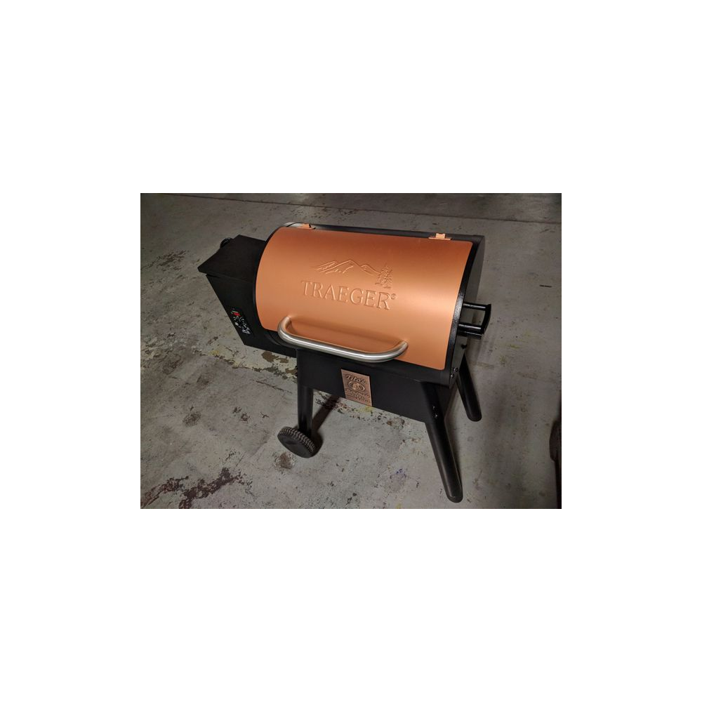 Traeger ProSeries 22 inch grill/BBQ