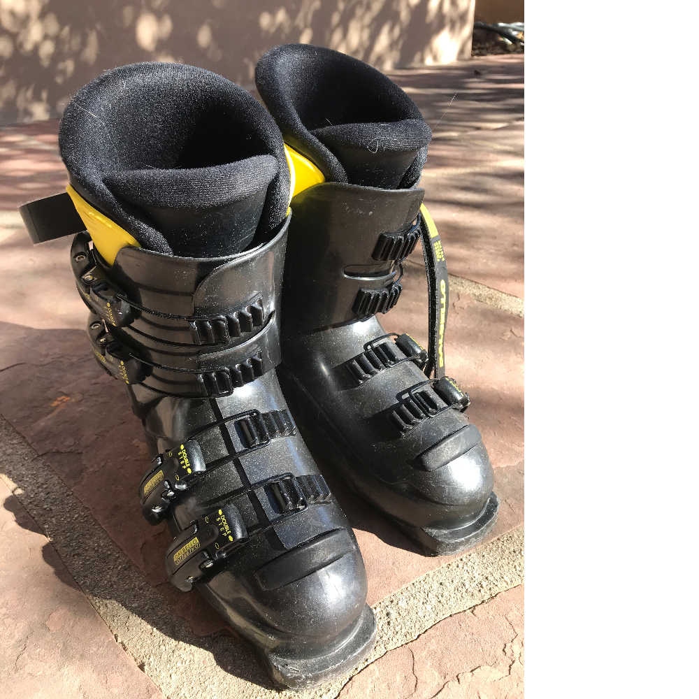Dalbello Ski boots
