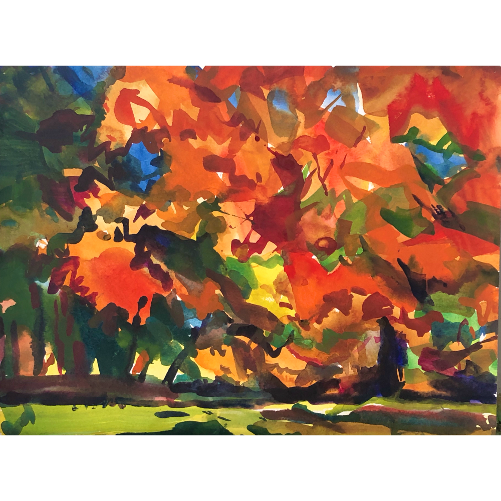 "Autumn Blaze" by Duncan Martin